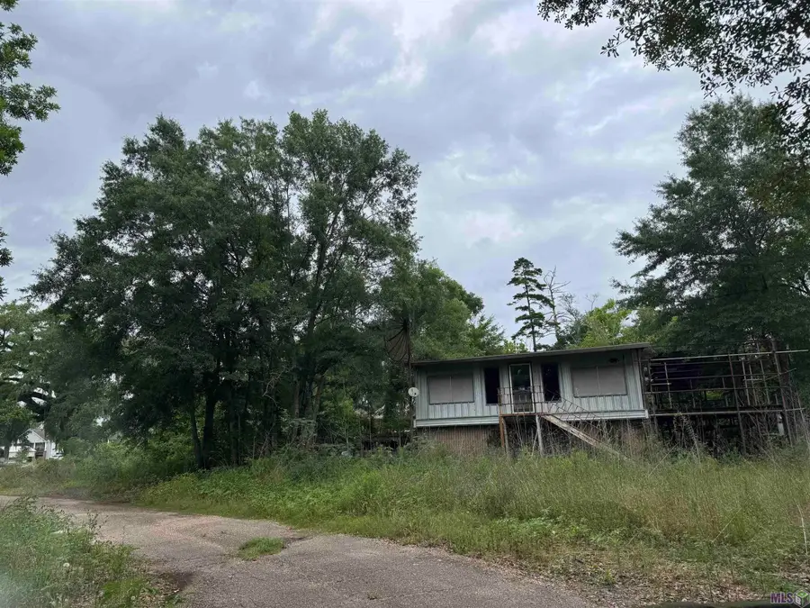 44512 Hwy 42, Prairieville, LA 70769 - #3