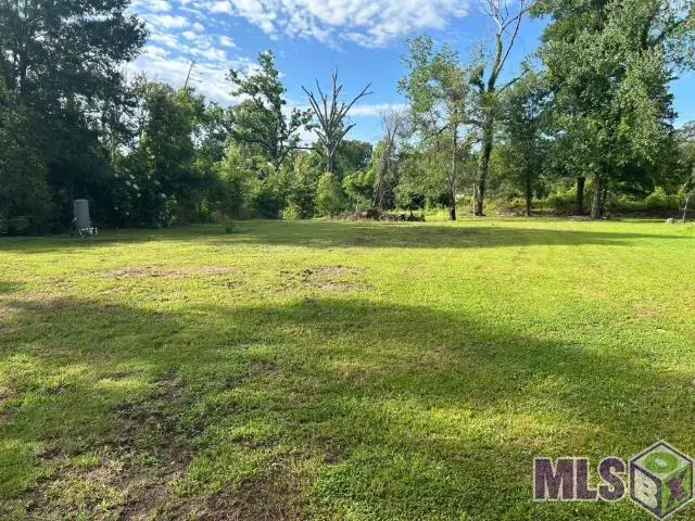 18376 Leo Causey Rd, Prairieville, LA 70769 - #1