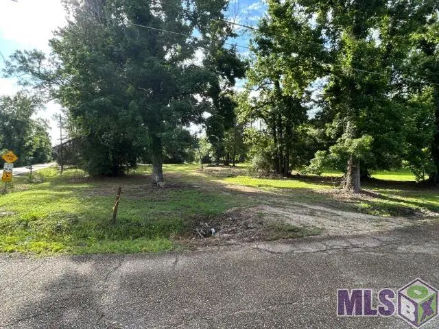 18376 Leo Causey Rd, Prairieville, LA 70769 - #3
