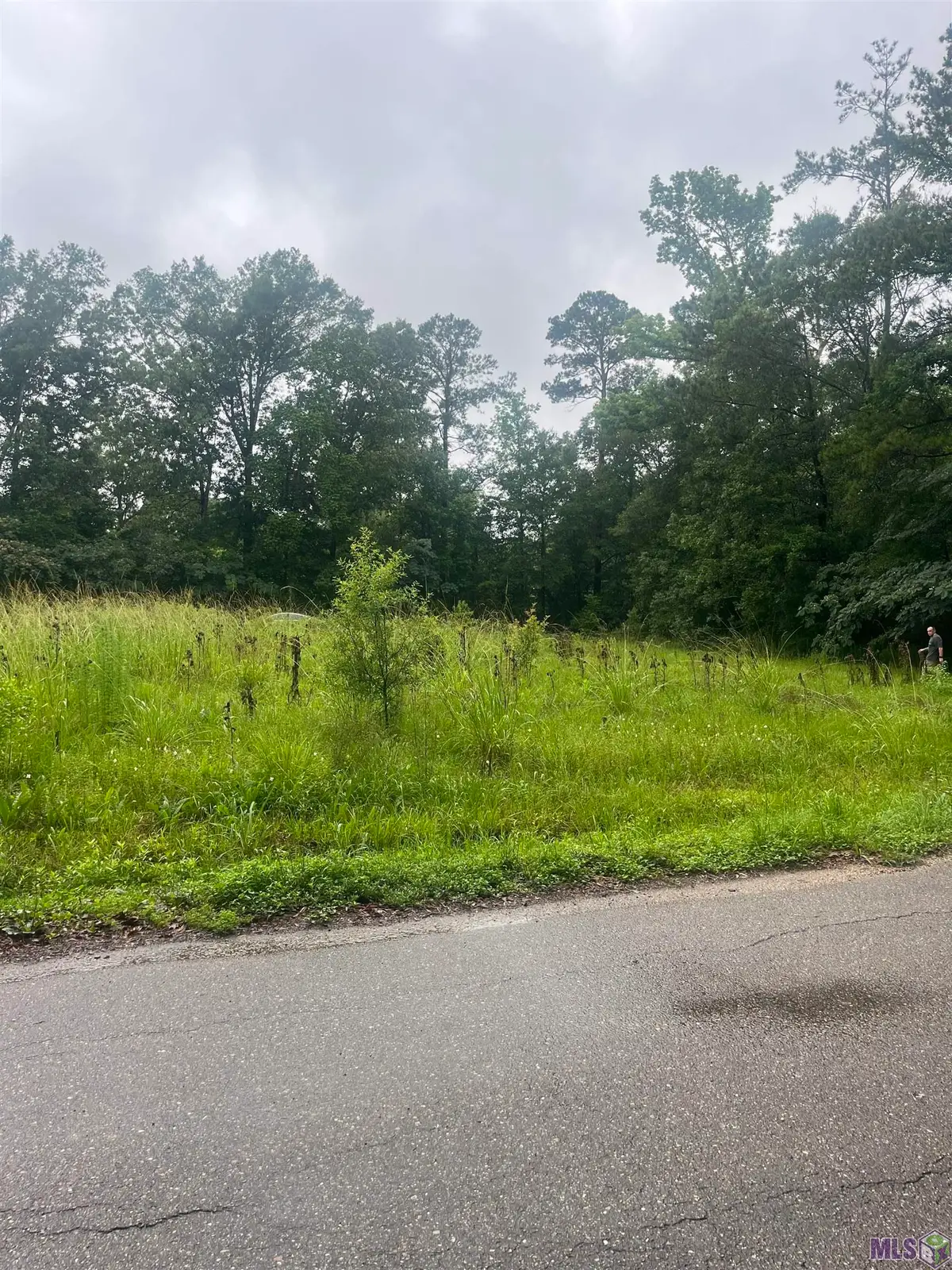 19925 Perrin Ferry Rd, Springfield, LA 70462 - #1