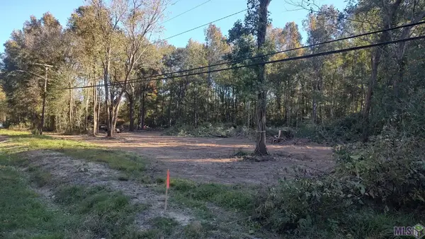 TBD Chamberlain Ave, Baker, LA 70714