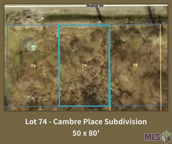 39233 Redbud Rd, Gonzales, LA 70737