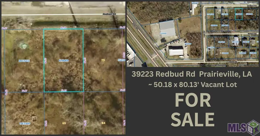 39233 Redbud Rd, Gonzales, LA 70737 - #3