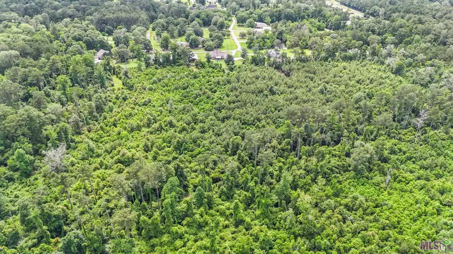TBD Madison Ave, Livingston, LA 70754 - #3