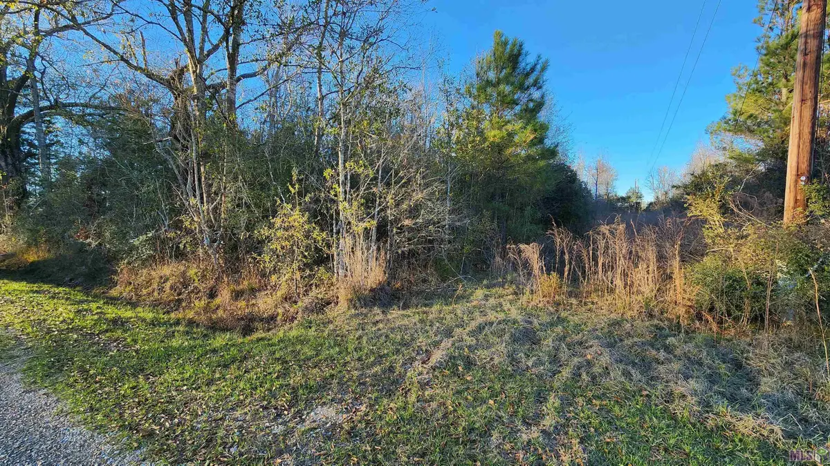 171 Sam Crouch Road, Montpelier, LA 70422 - #1