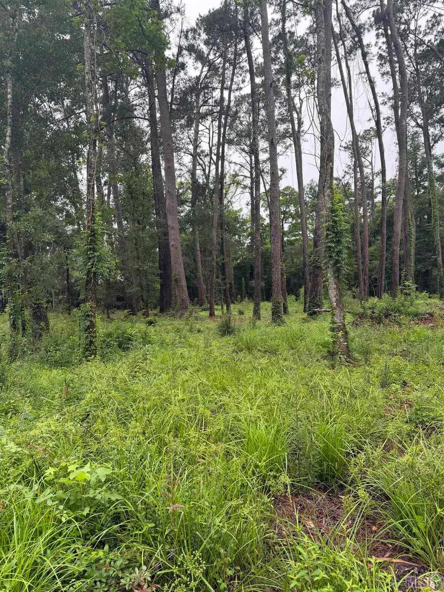 TBD La-16 Highway, Denham Springs, LA 70726 - #2