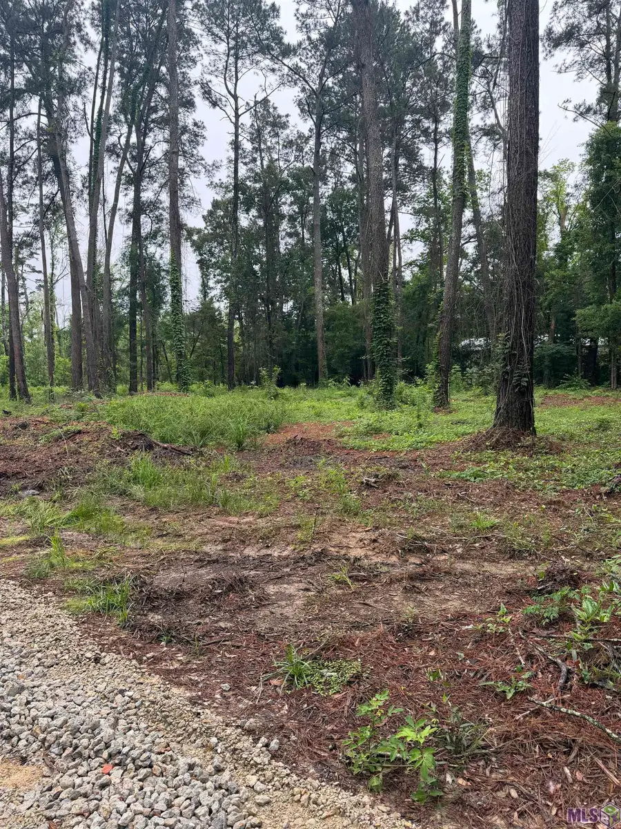 TBD La Hwy 16, Denham Springs, LA 70726 - #2