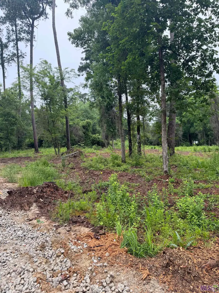 TBD La Hwy 16, Denham Springs, LA 70726 - #3