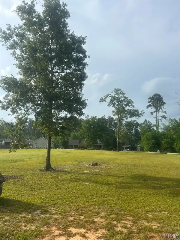 River Point Dr, Springfield, LA 70462