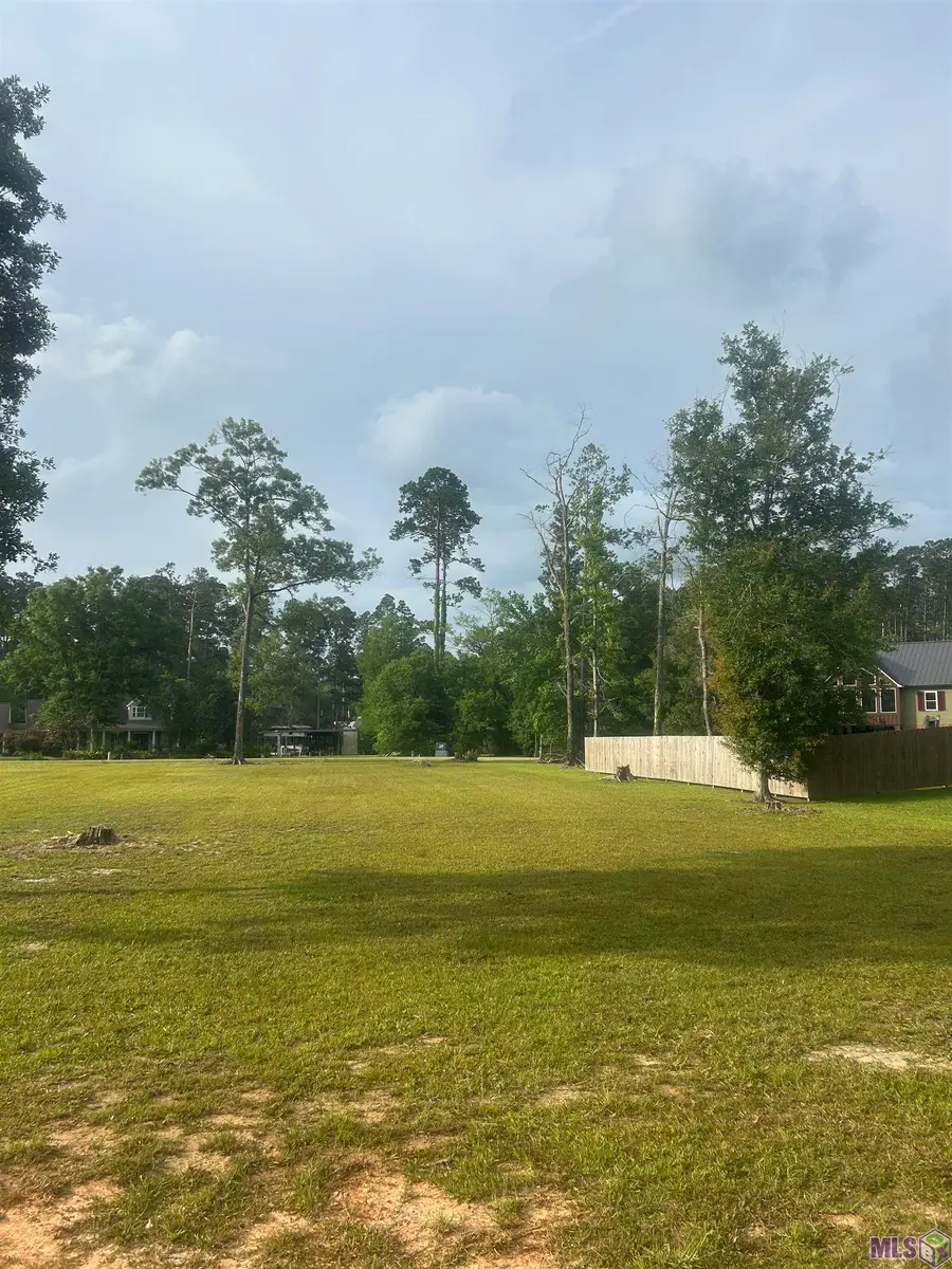 River Pines Dr, Springfield, LA 70462 - #2