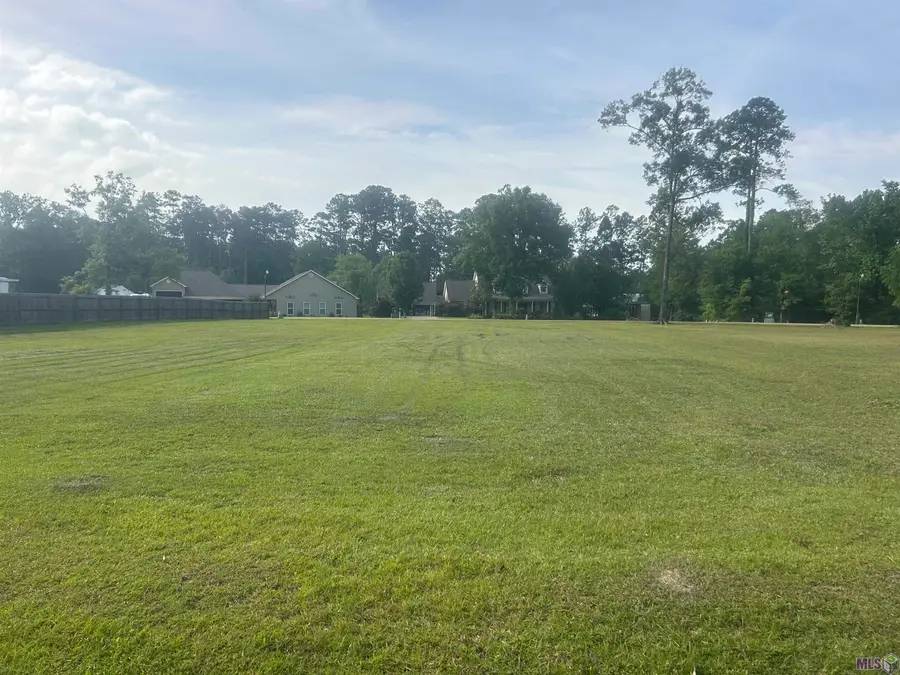 River Pines Dr, Springfield, LA 70462 - #3