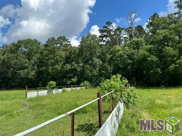 17198 Cannon Rd, Livingston, LA 70754 - #3