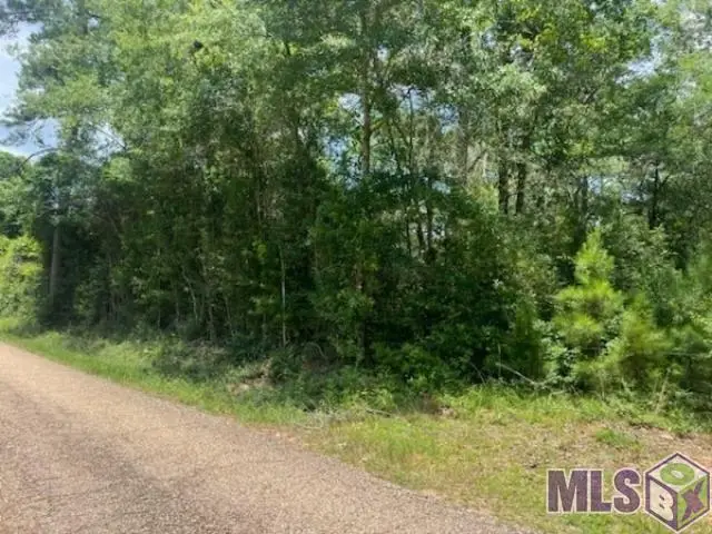 20050 Sylvest Road, Franklinton, LA 70438 - #1