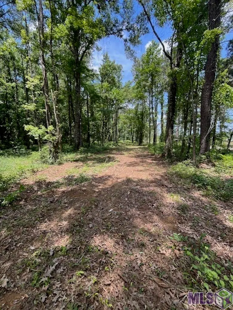 J.h. Jenkins Ln, Denham Springs, LA 70706 - #2