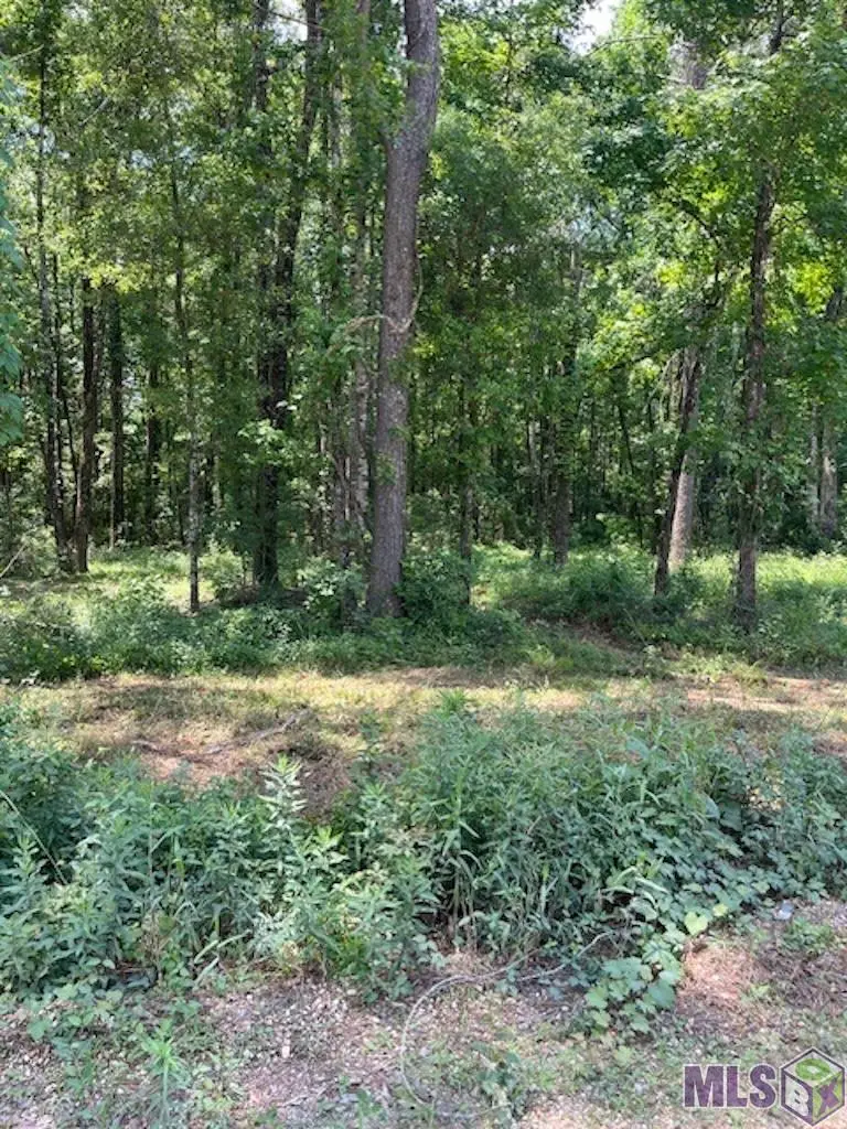 J.h. Jenkins Ln, Denham Springs, LA 70706 - #3