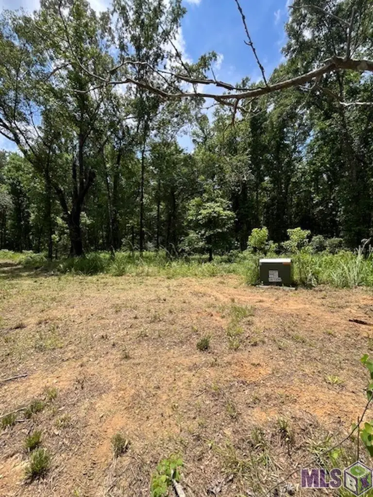 J.h. Jenkins Ln, Denham Springs, LA 70706 - #3