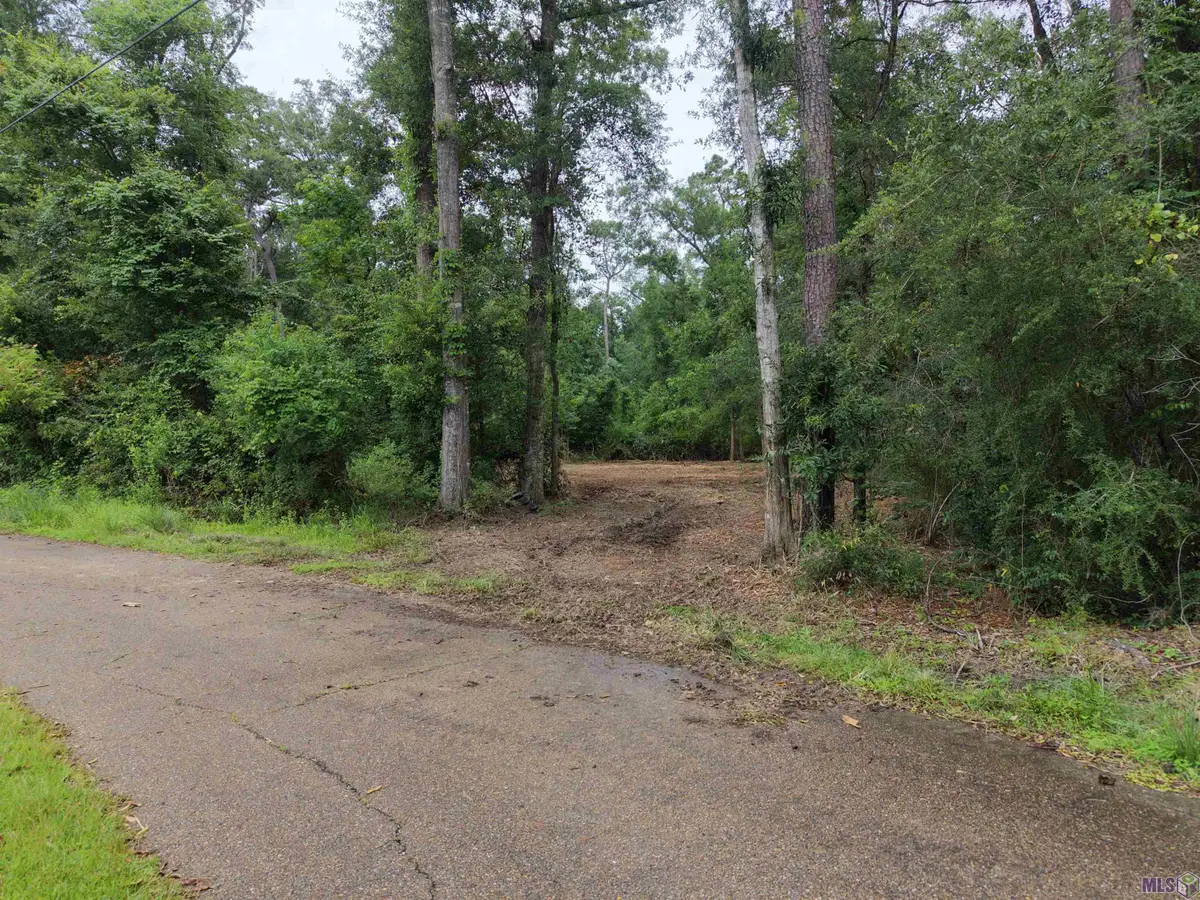 Tract D Joiner Lane, Ponchatoula, LA 70454 - #1