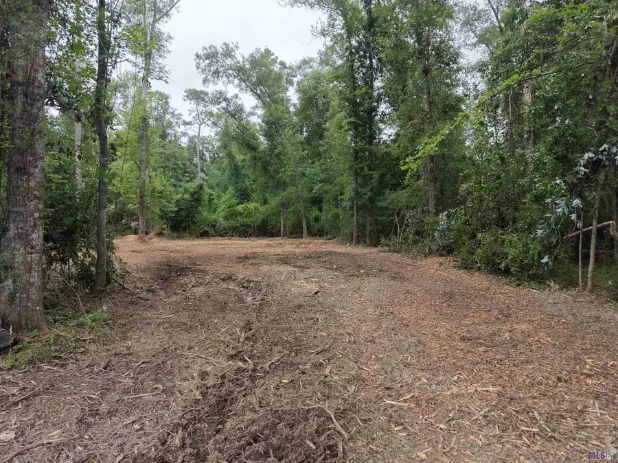 Tract D Joiner Lane, Ponchatoula, LA 70454 - #3