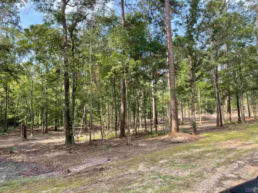 8177 Hepzibah Rd, Clinton, LA 70722 - #3