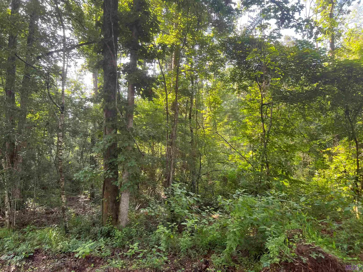 Lot 4 Hepzibah Rd, Clinton, LA 70722 - #1