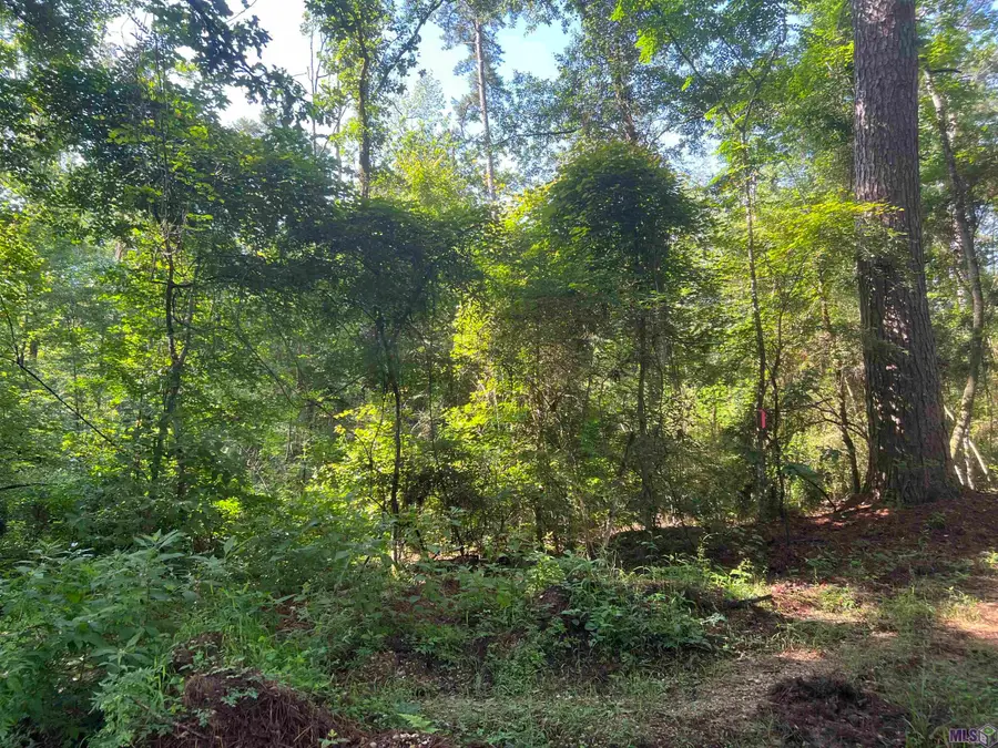 Lot 4 Hepzibah Rd, Clinton, LA 70722 - #2
