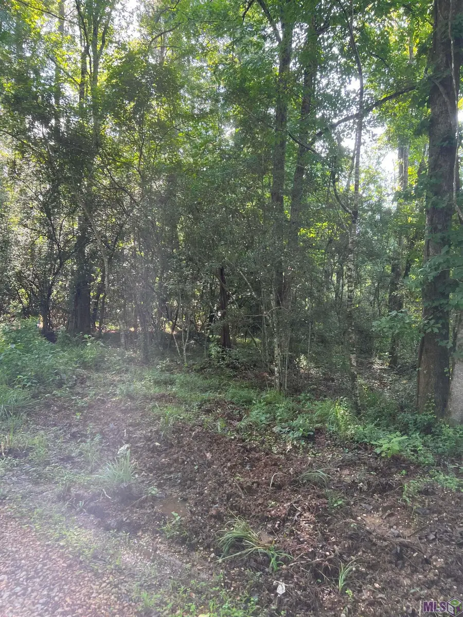 Lot 4 Hepzibah Rd, Clinton, LA 70722 - #3