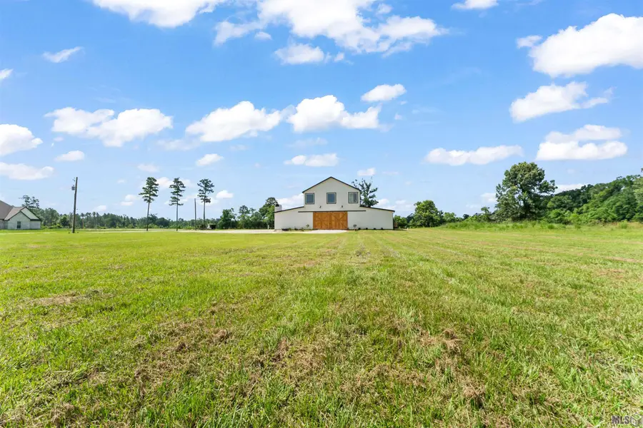 18042 Critter Cove Ln, Livingston, LA 70754 - #2