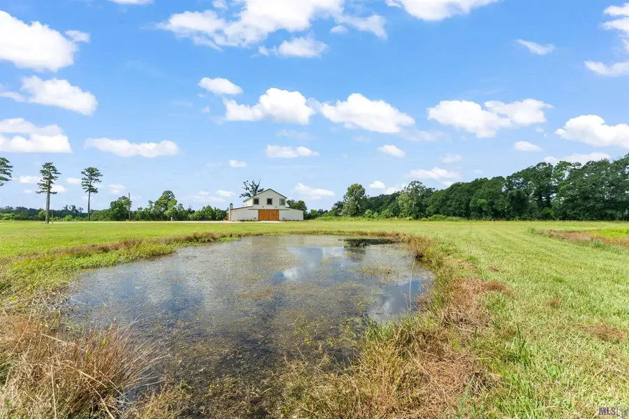 18042 Critter Cove Ln, Livingston, LA 70754 - #3