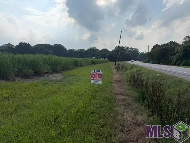 7625 False River Rd, Oscar, LA 70762 - #2
