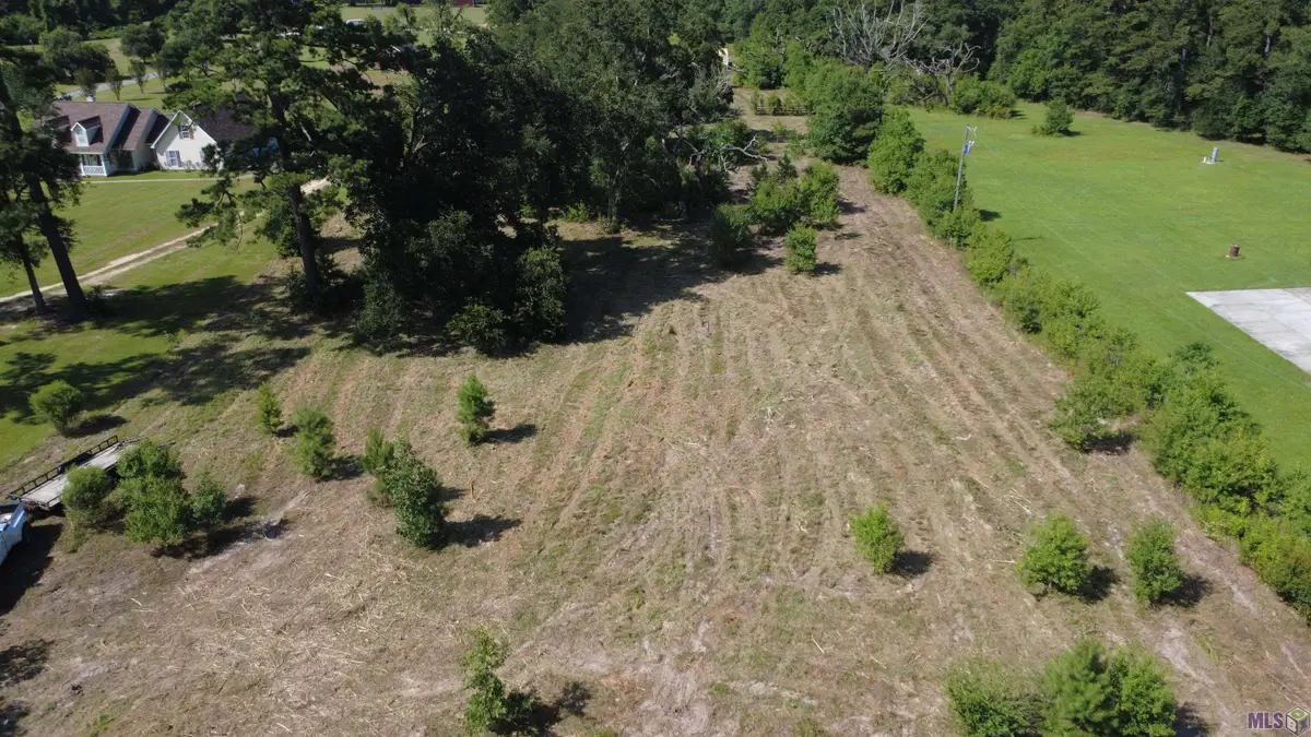 29489 George White Rd, Holden, LA 70744 - #1