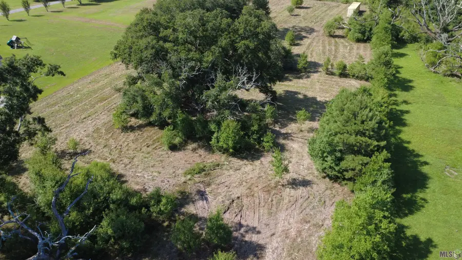 29489 George White Rd, Holden, LA 70744 - #2