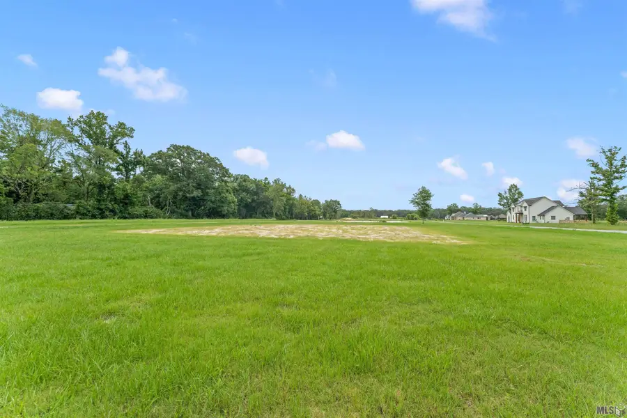 15314 Joor Rd, Zachary, LA 70791 - #3