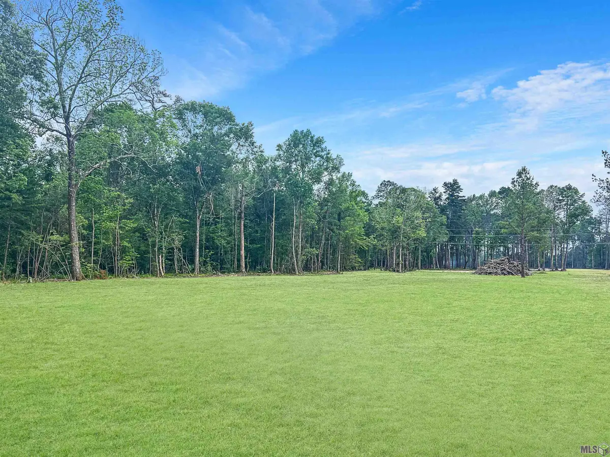 35085 Coy Holden Rd, Walker, LA 70785 - #1