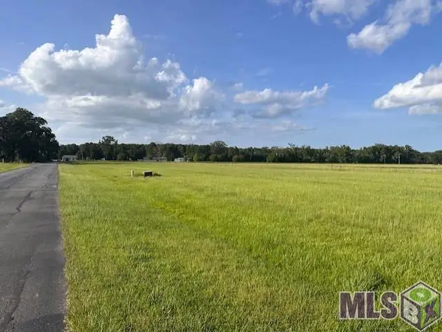 11036 Cessna St, Gonzales, LA 70737 - #2