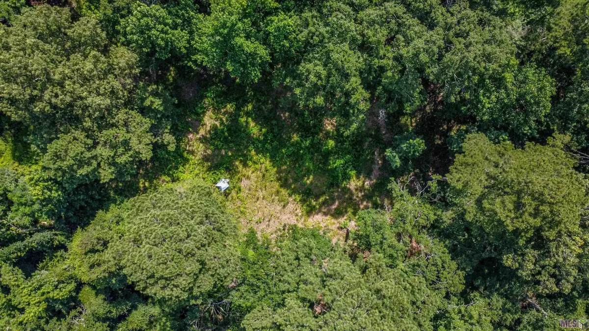 11460 La Hwy 967, Saint Francisville, LA 70775 - #1