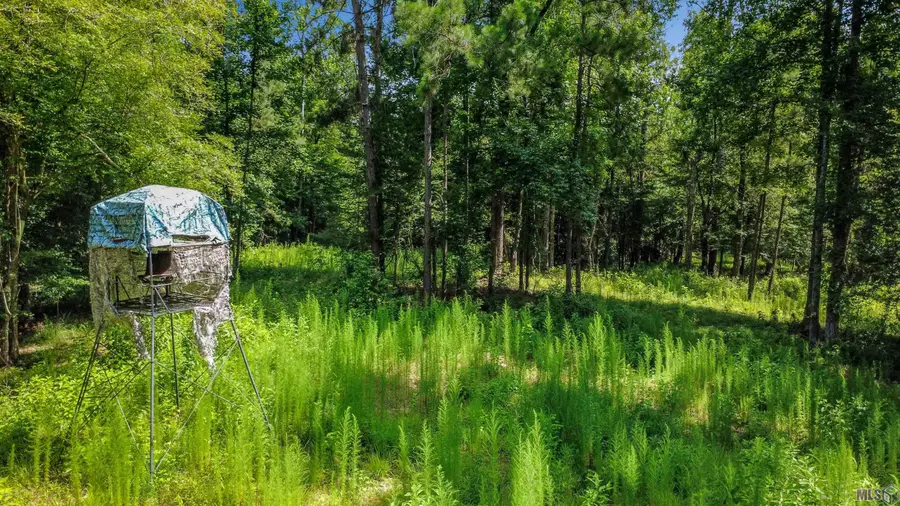 11460 La Hwy 967, Saint Francisville, LA 70775 - #2