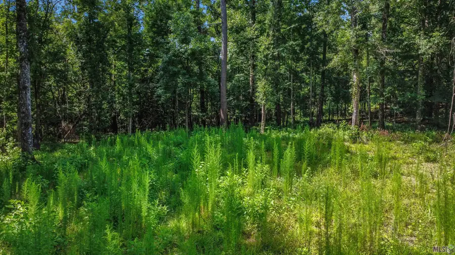 11460 La Hwy 967, Saint Francisville, LA 70775 - #3