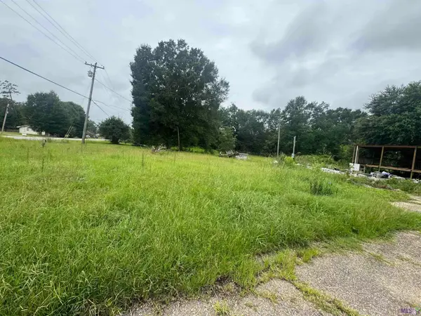 7641 Amite Church Rd, Denham Springs, LA 70706