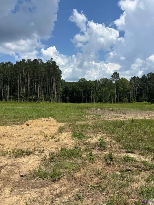34766 Clinton Allen Rd, Denham Springs, LA 70706