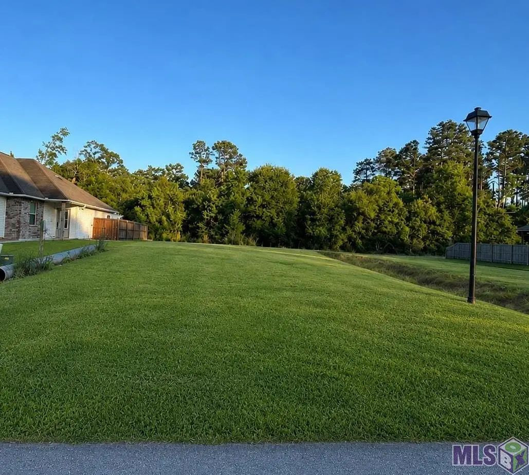 17832 H S Brignac Dr, French Settlement, LA 70733 - #1