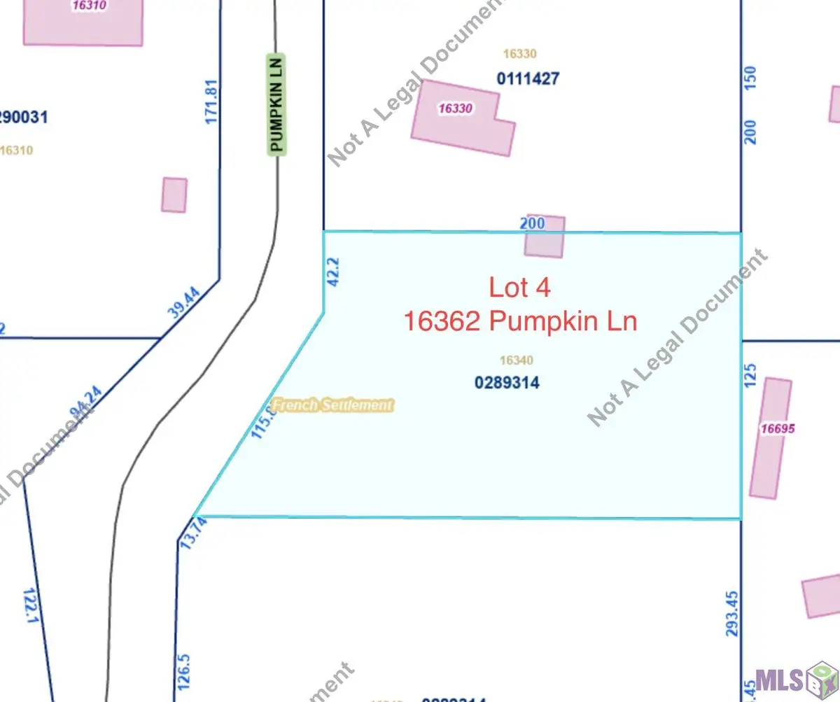 16362 Pumpkin, French Settlement, LA 70733 - #1