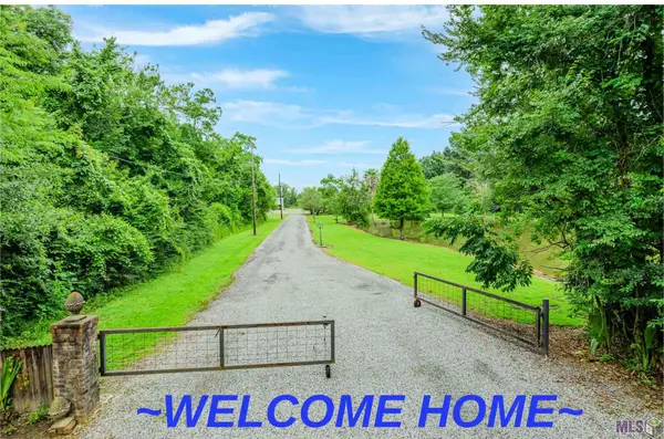 14105 Bert Allen Rd, Gonzales, LA 70737