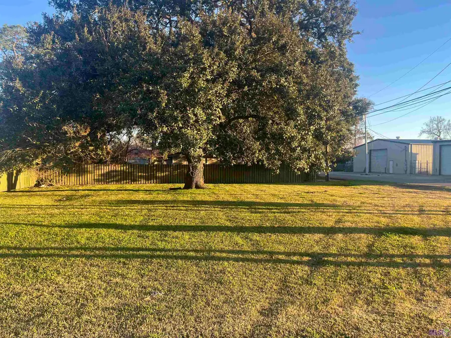 58235 Belleview Dr, Plaquemine, LA 70764 - #2