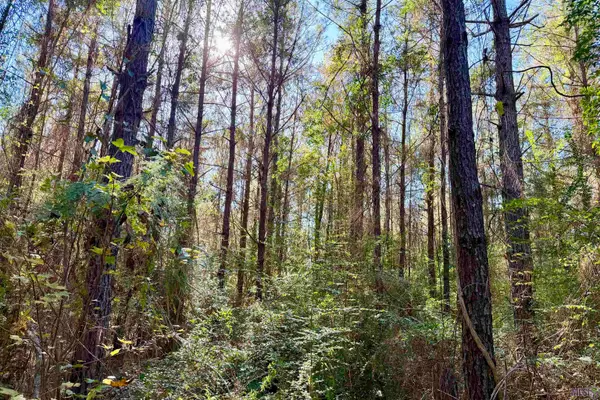01 Bobcat Lane, Amite, LA 70422
