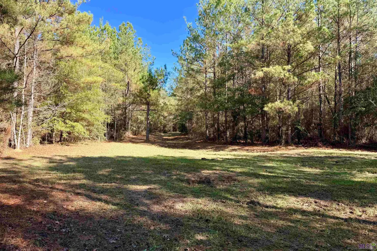 03 La Hwy 1047, Amite, LA 70442 - #1