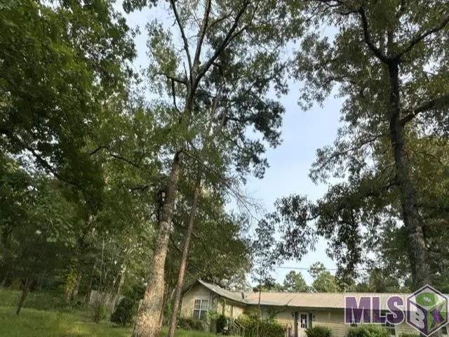 32 Tyrone Johnson Lane, Greensburg, LA 70441 - #1