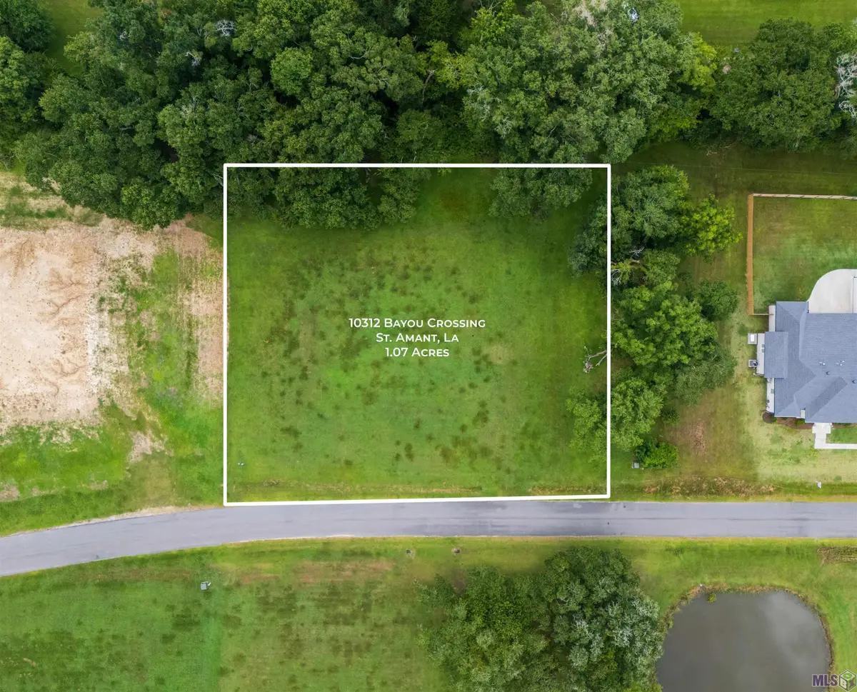 10312 Bayou Crossing, Saint Amant, LA 70774 - #1