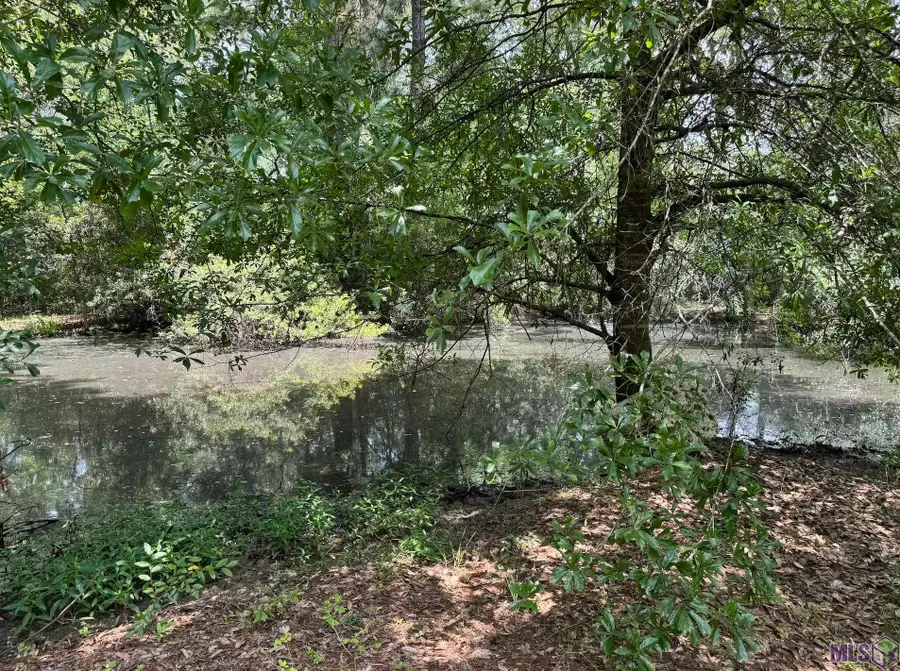 2553 Lirocchi Dr, Baton Rouge, LA 70816 - #2