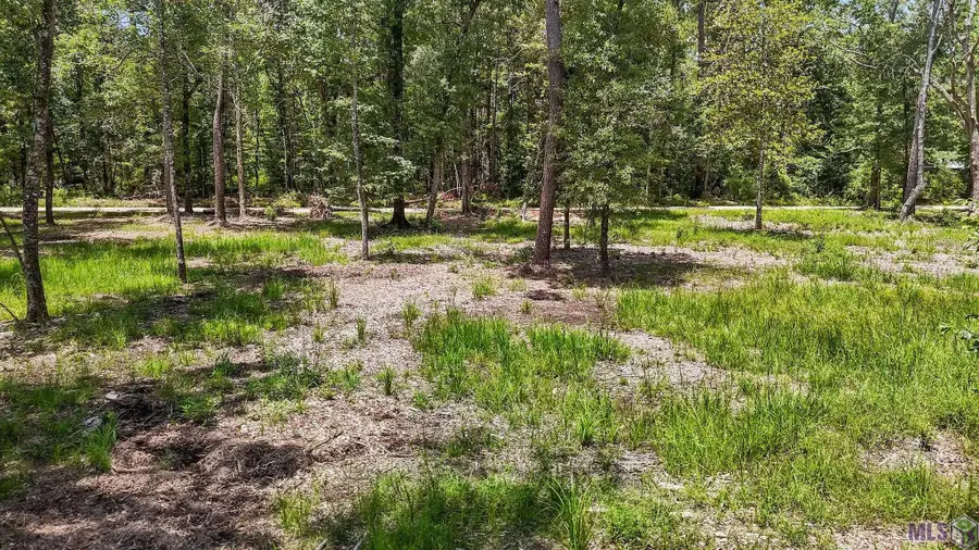 334 Westmoreland Ln, Montpelier, LA 70422 - #2