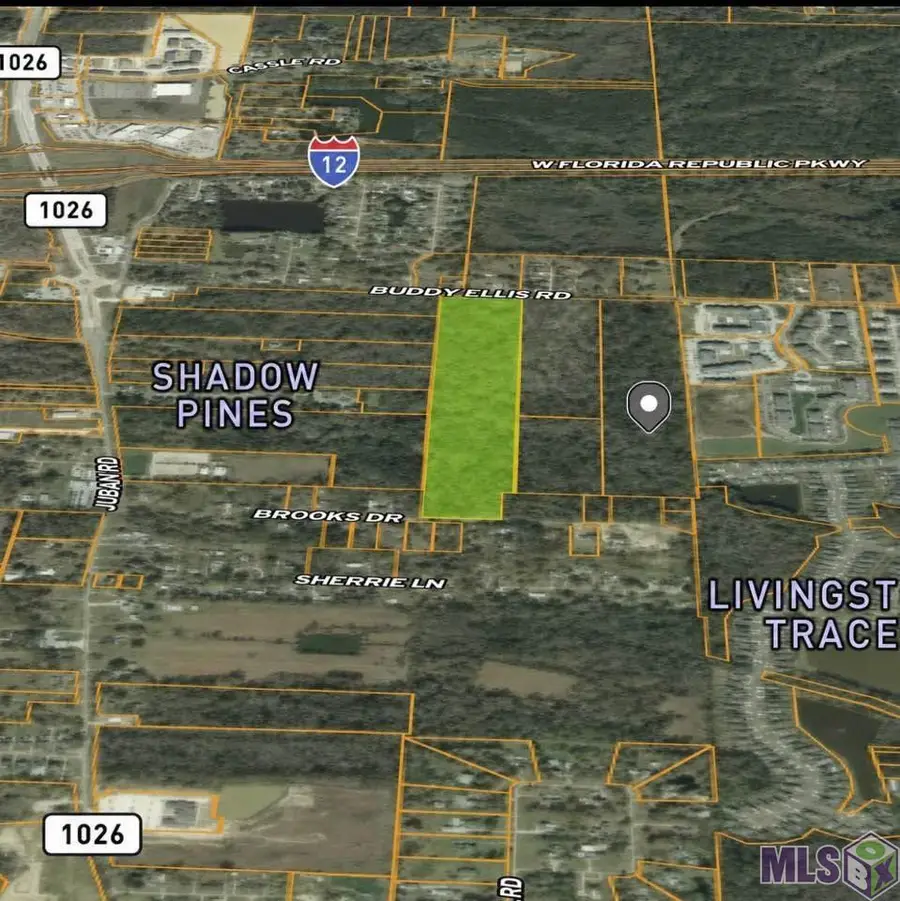 10700 Buddy Ellis Rd, Denham Springs, LA 70726 - #3